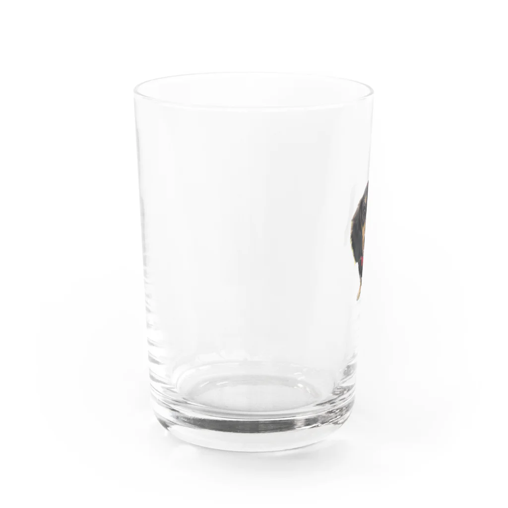 神崎エリカとはやとのグッズのカニンヘンダックスの隼人くん Water Glass :left