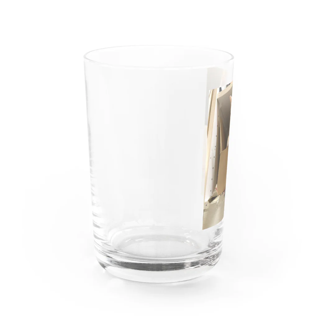 Mizuki・ASIA CATのMILUKU Water Glass :left