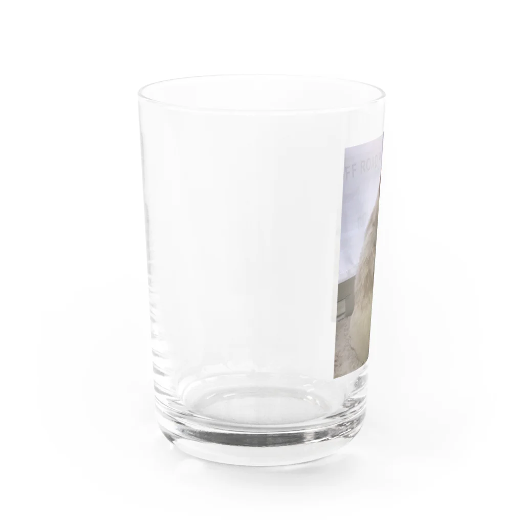 Mizuki・ASIA CATの後ろ美猫MILU🐾 Water Glass :left