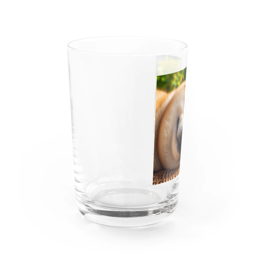デブ柴のデブ柴.1 Water Glass :left