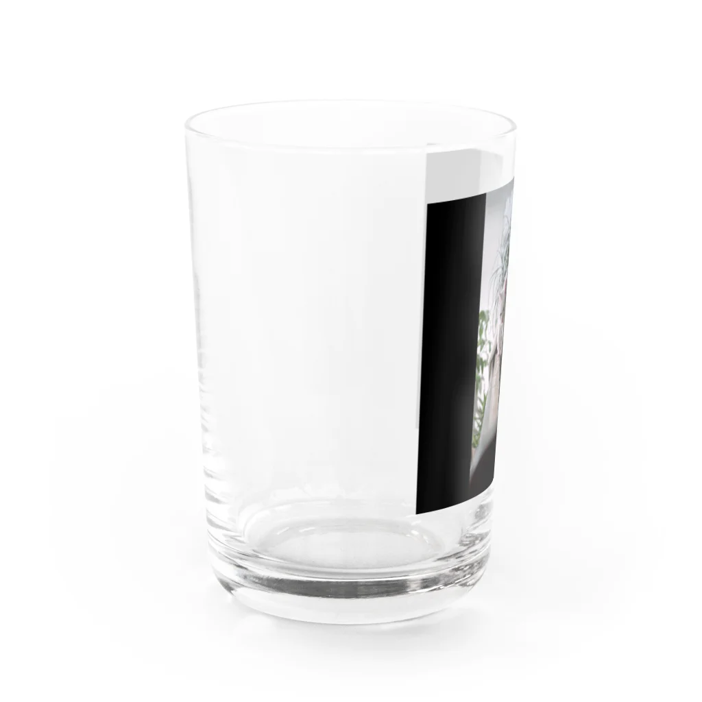 ozuzu123のピアノでねこ Water Glass :left