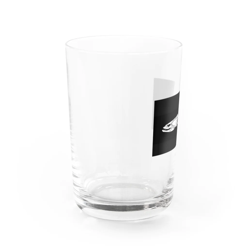 stockboxのポリプテルス グッズ Water Glass :left