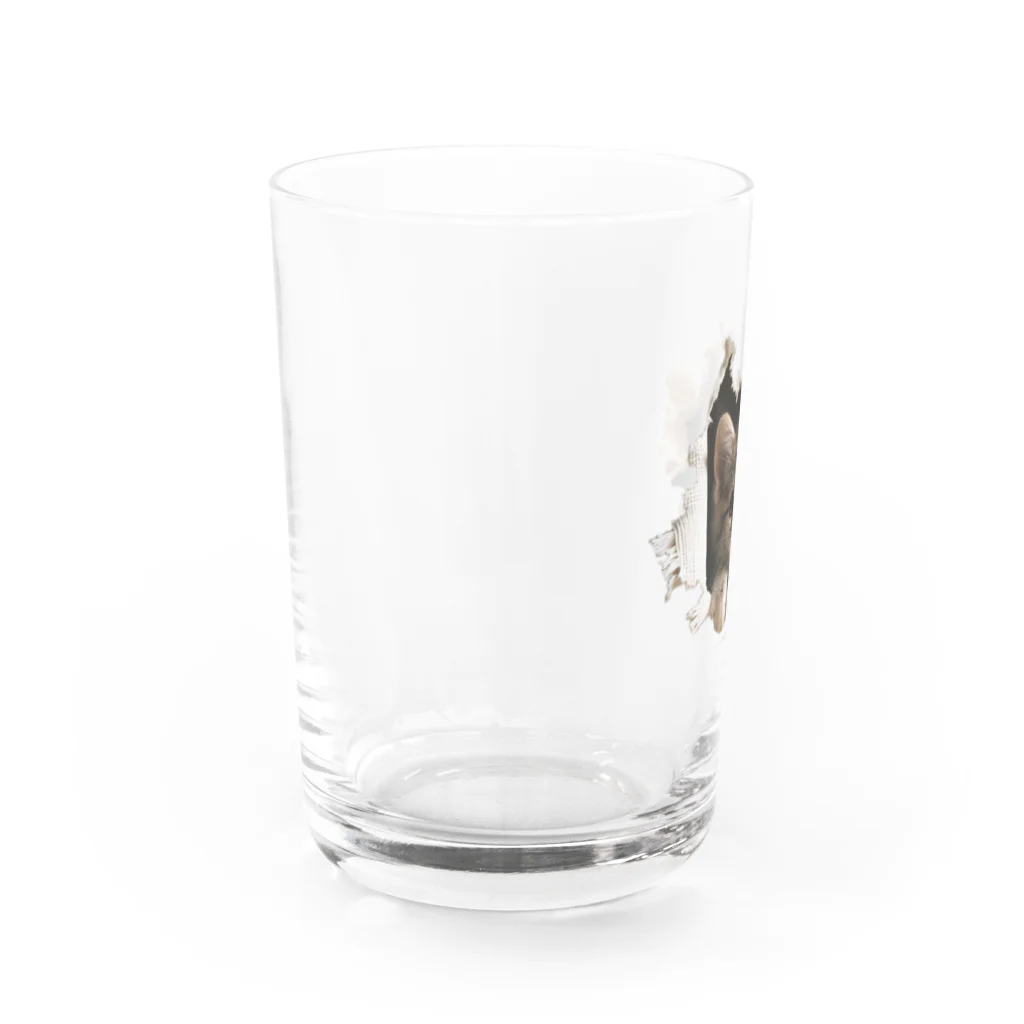 oniyanma64の子猫外を見る Water Glass :left