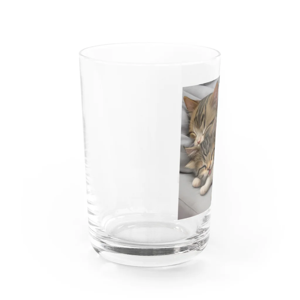 恥ずかしがり屋のねこショップの 寝ているかわいいこ猫 Water Glass :left