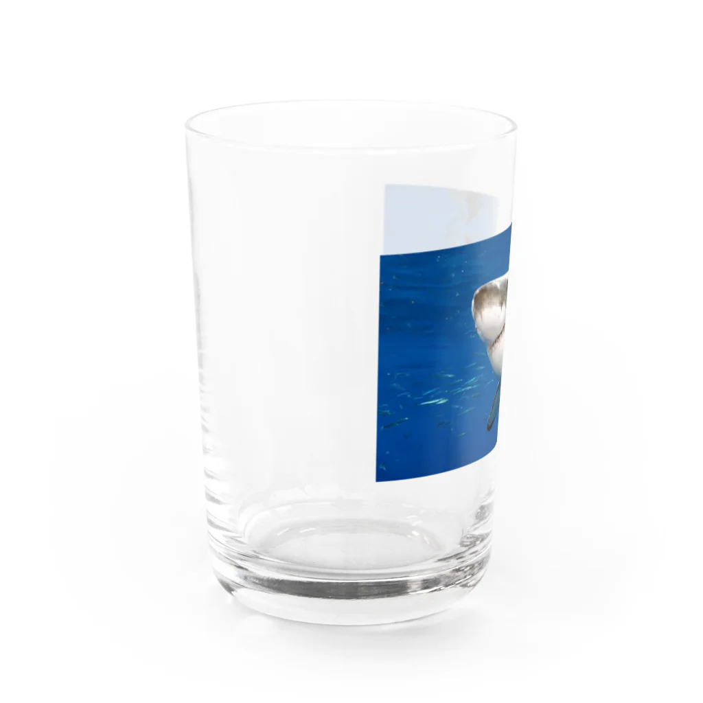 C59の海のキングホウジロサメが登場 Water Glass :left