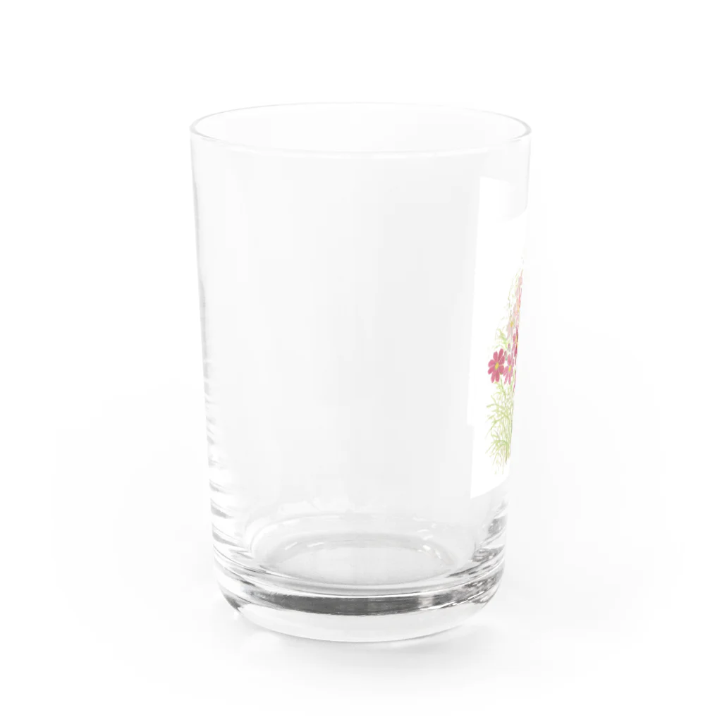 セクシーキャットのコスモスの花 Water Glass :left