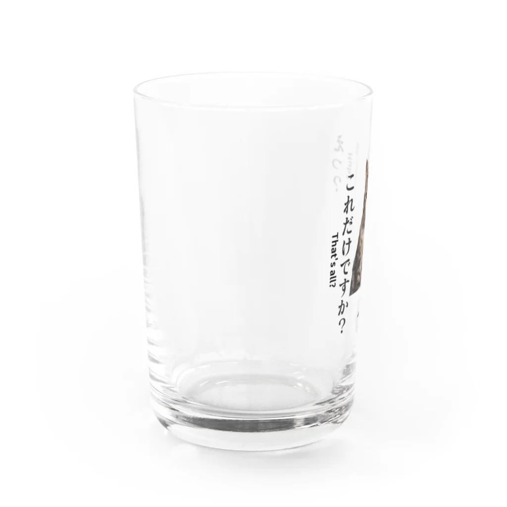 catnip factoryの不満顔の猫 Water Glass :left