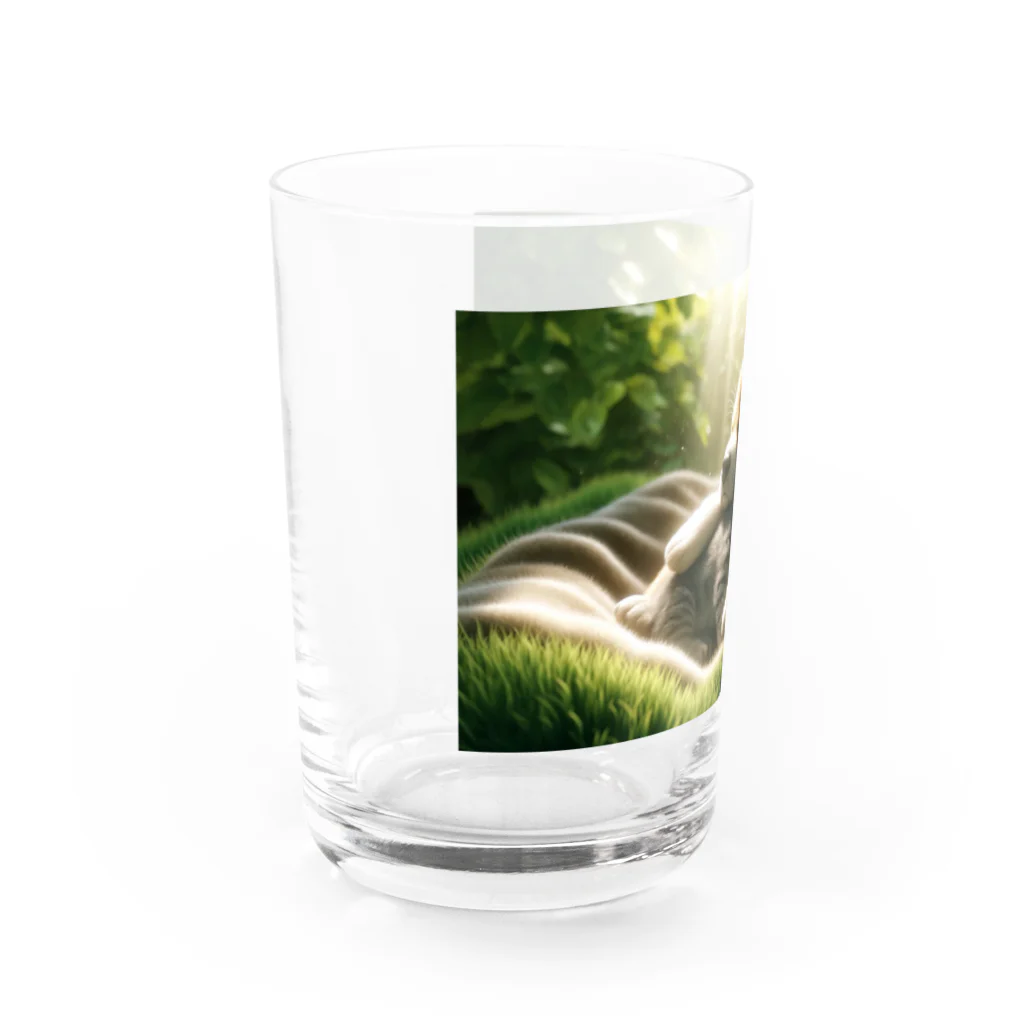 亀蘭タマムシの木漏れ日・仲良しスヤスヤ Water Glass :left