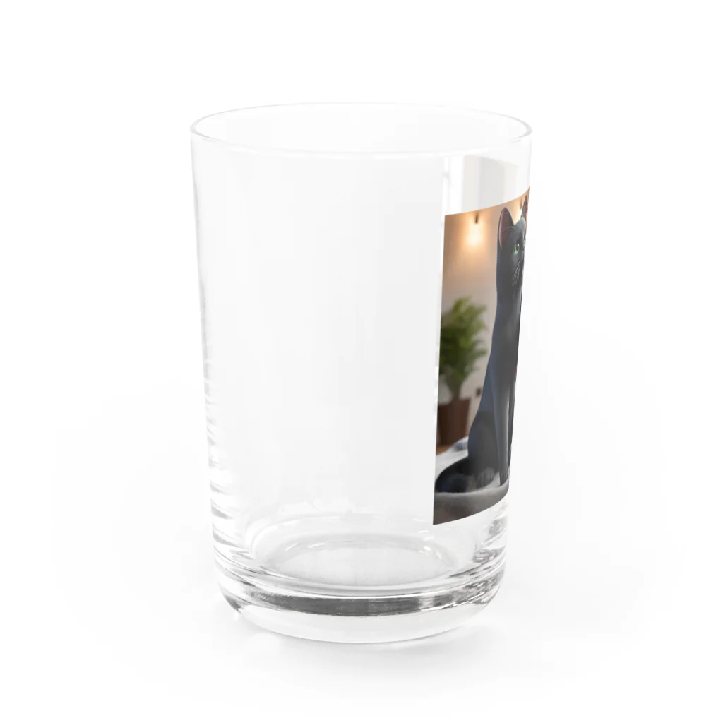 亀蘭タマムシの黒猫親子、お願い Water Glass :left