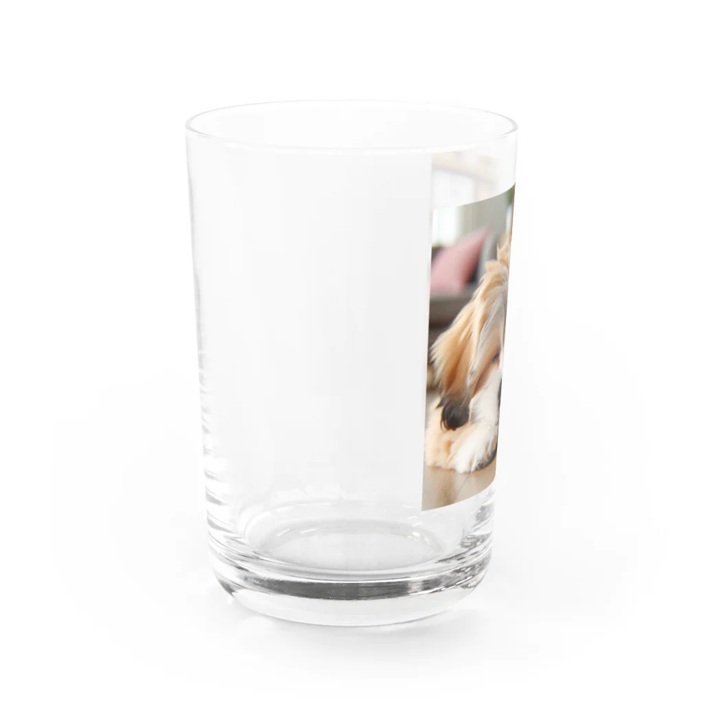 鈴木敏夫の星に願いを願う　わんちゃんー Water Glass :left