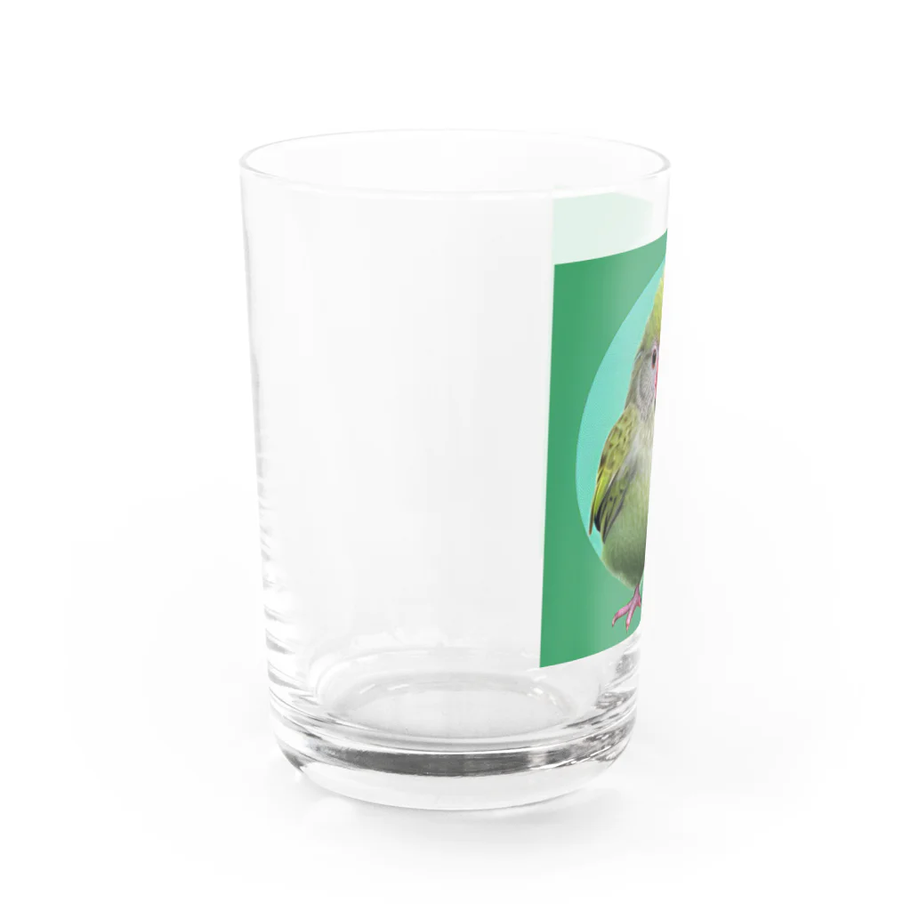 ３の字屋のカカポグッズ Water Glass :left