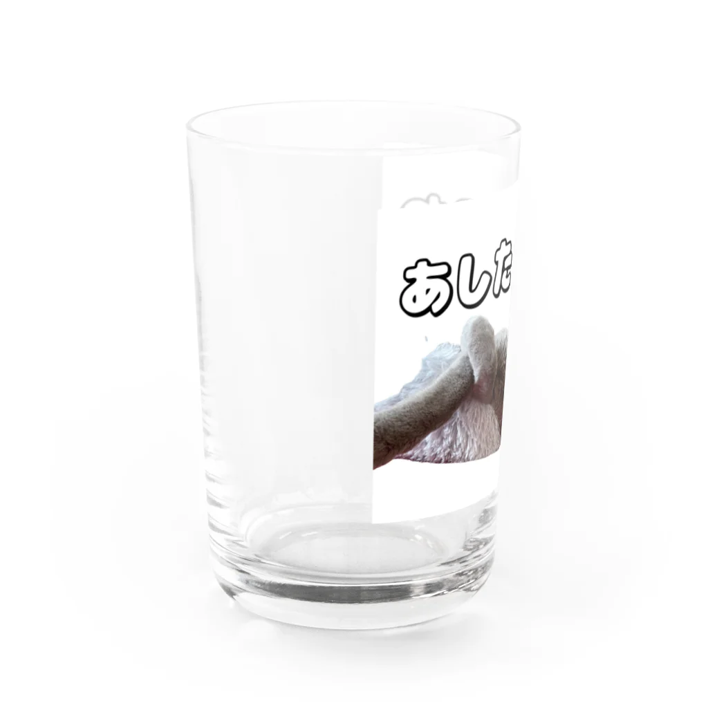 ねこはっぴきの怠惰なねこ（おでぶver.） Water Glass :left