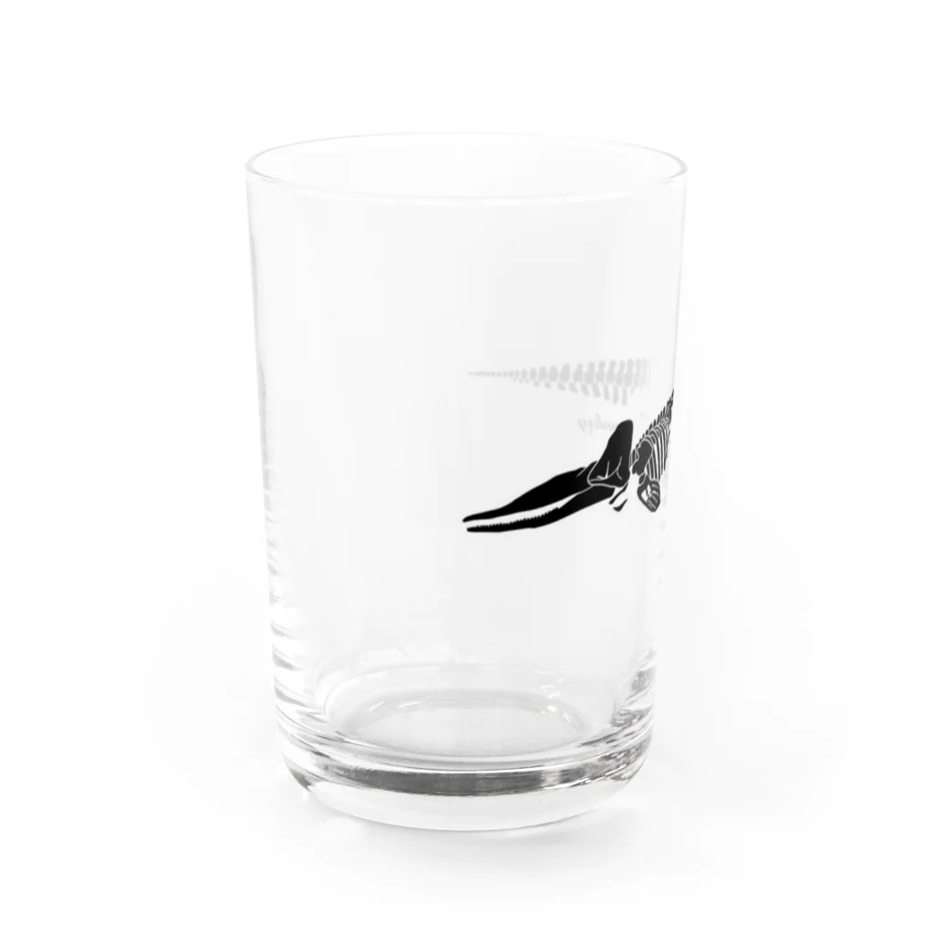 ayunksyのマッコウクジラの標本 Water Glass :left