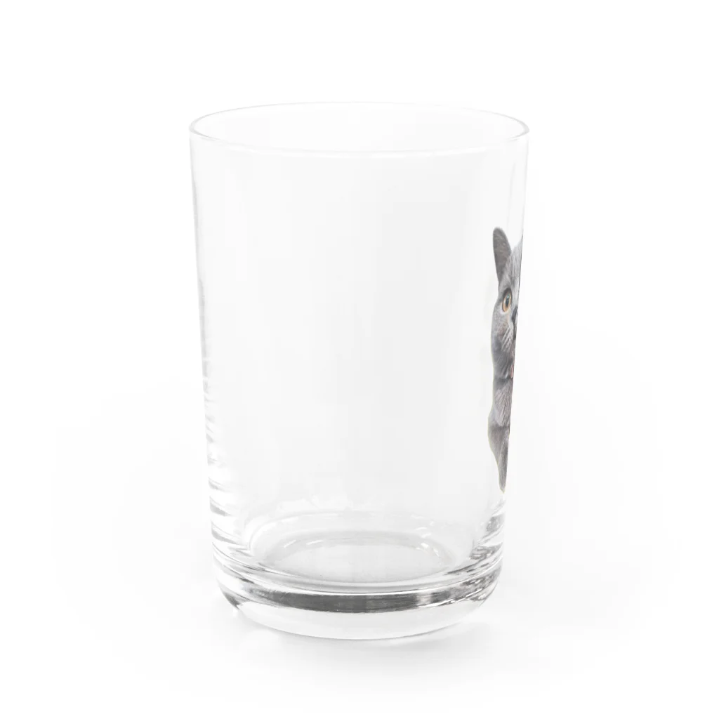 ポルの凛々しいポルさん Water Glass :left