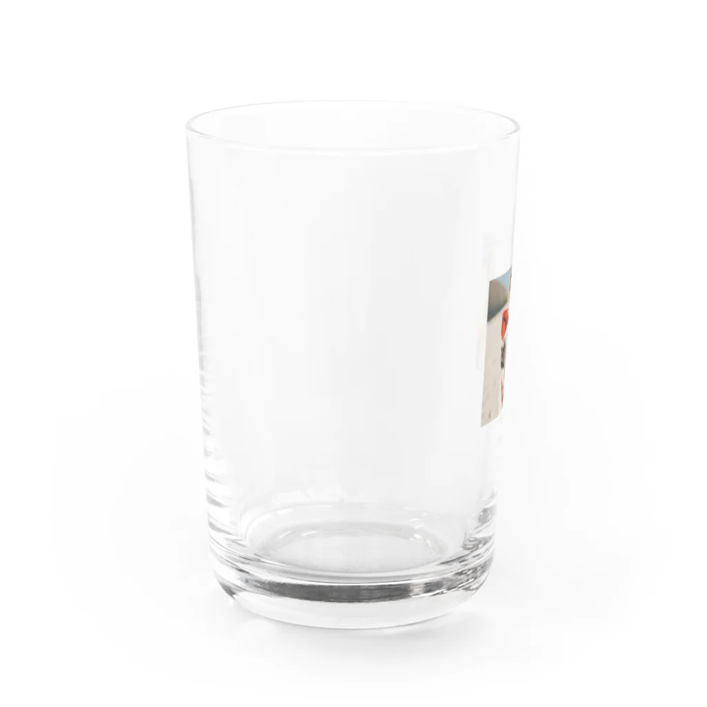 naftethの柴犬のとらさん Water Glass :left