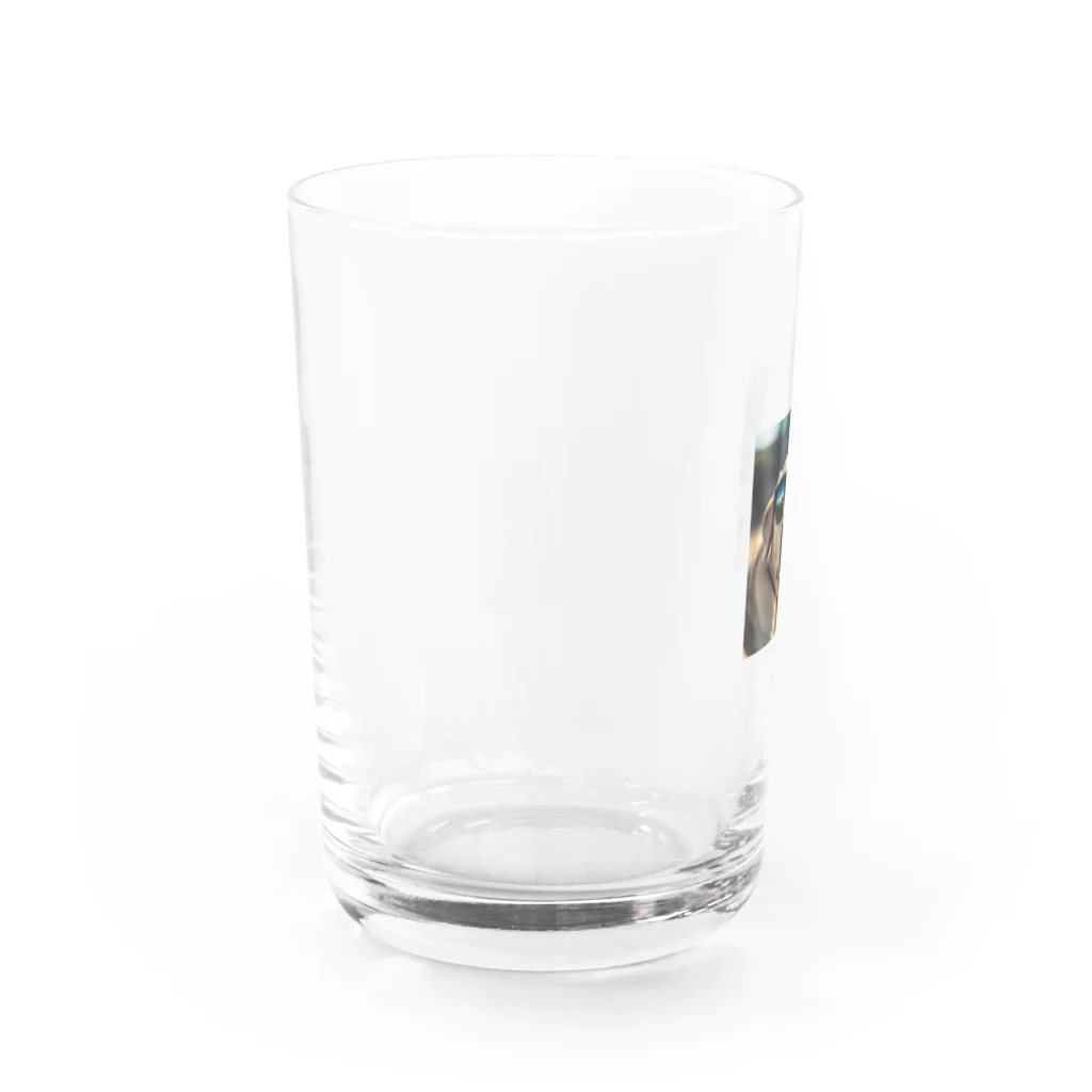 naftethの食いしん坊のレトと言いますねん Water Glass :left