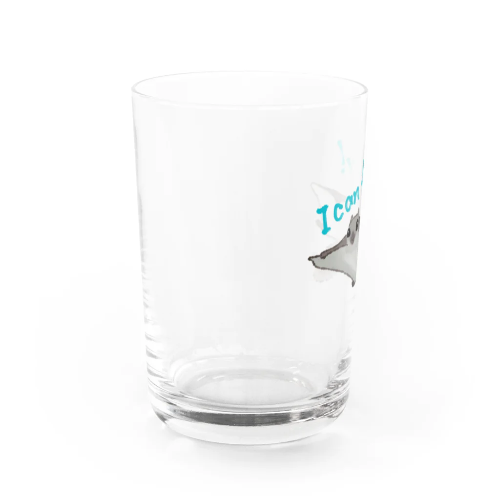 ゆるい生き物イラストグッズの飛んでるエゾモモンガ Water Glass :left