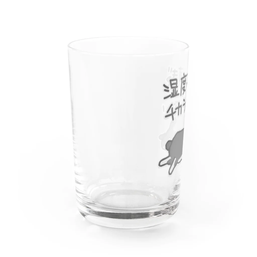 ミナミコアリクイ【のの】の湿度高すぎ【うさぎ】 Water Glass :left