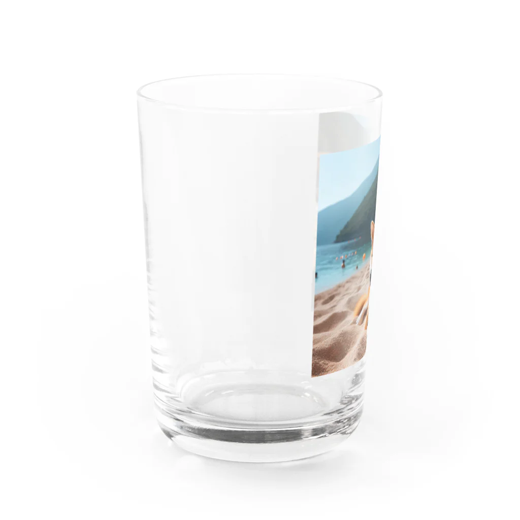 柴犬しばわんこhana873の海でまったりしている柴犬さん Water Glass :left