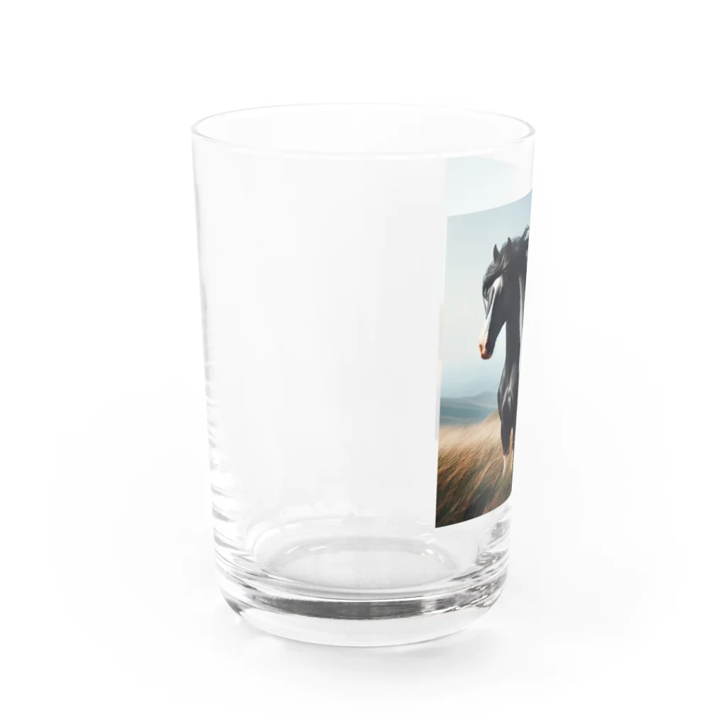 k8646の過酷な環境で育った馬 Water Glass :left