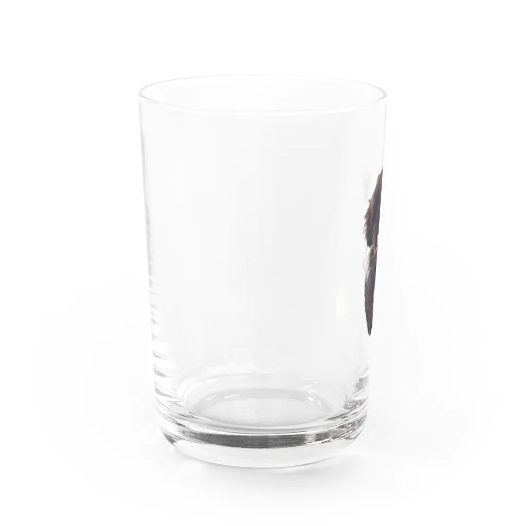 ライダーズの可愛いワンちゃんグッズ Water Glass :left