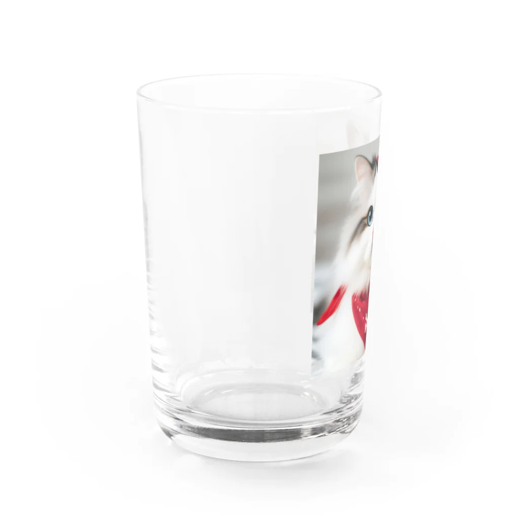 nail_aphroditeの海賊猫ちゃん Water Glass :left