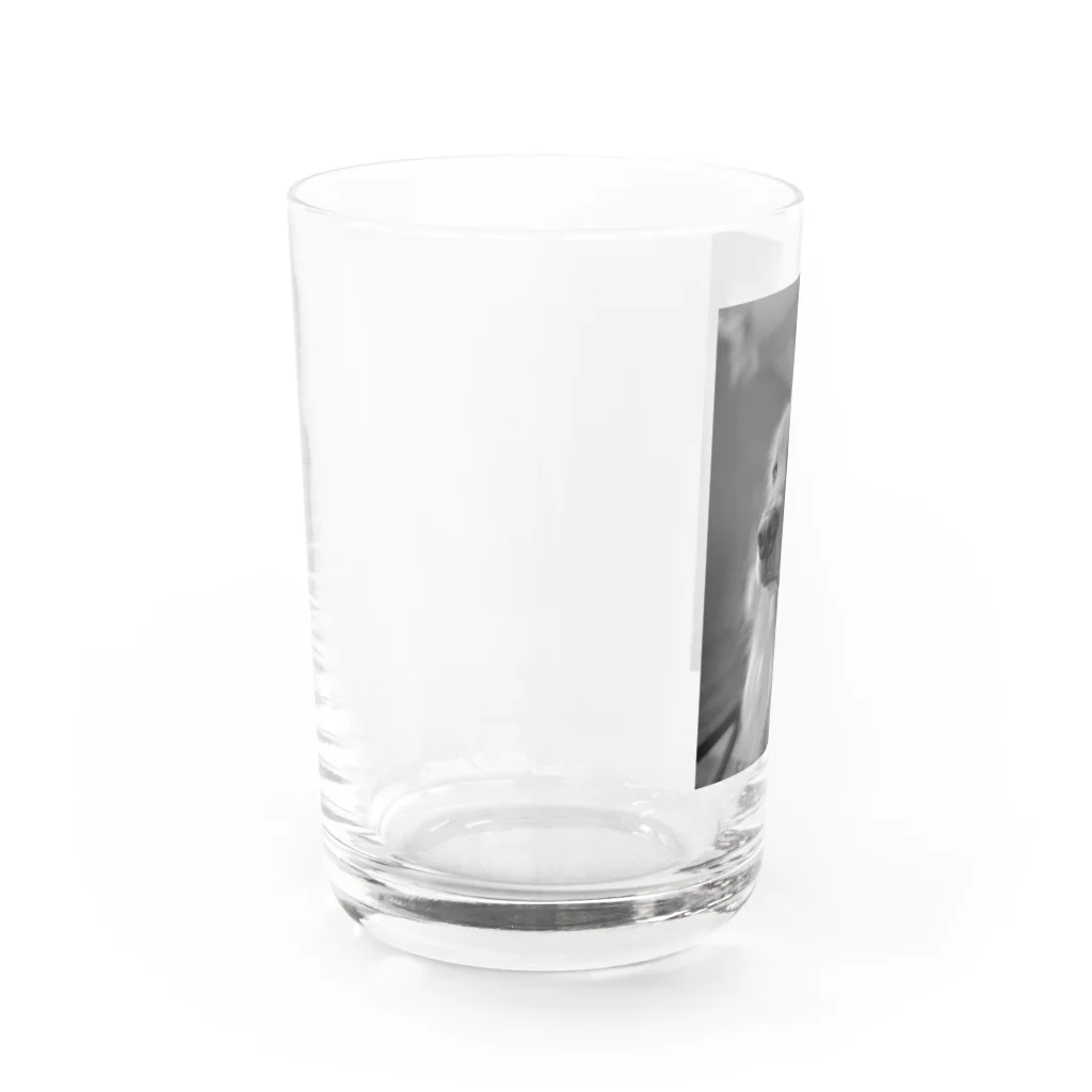 cyobi_loveのチョビ（絵画っぽい） Water Glass :left