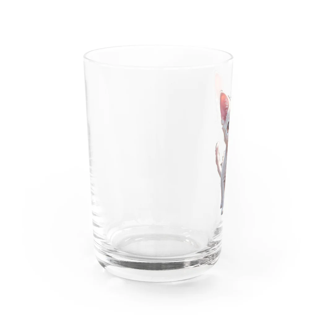 Kikimimiネコのkikimimiネコ（シロネコ） Water Glass :left