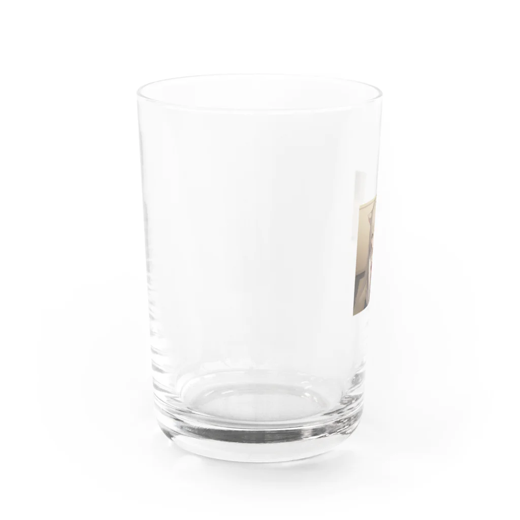 nosutarujiaの獣耳少女a Water Glass :left