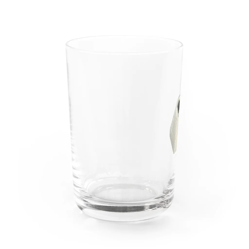 たぬきねこドミの巣篭もりver たぬきねこドミ  Water Glass :left