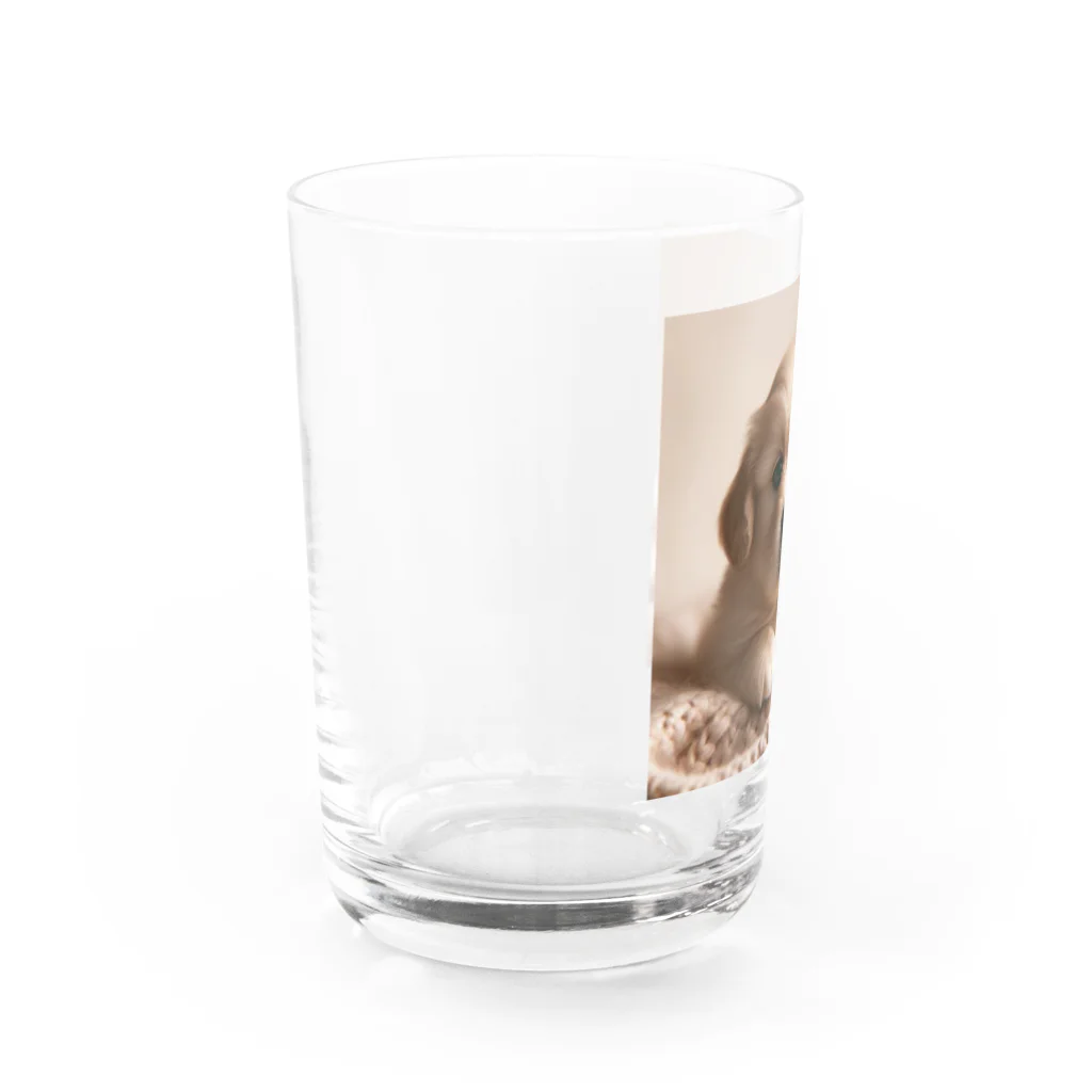 -joy-の可愛すぎるゴールデンレトリバー Water Glass :left