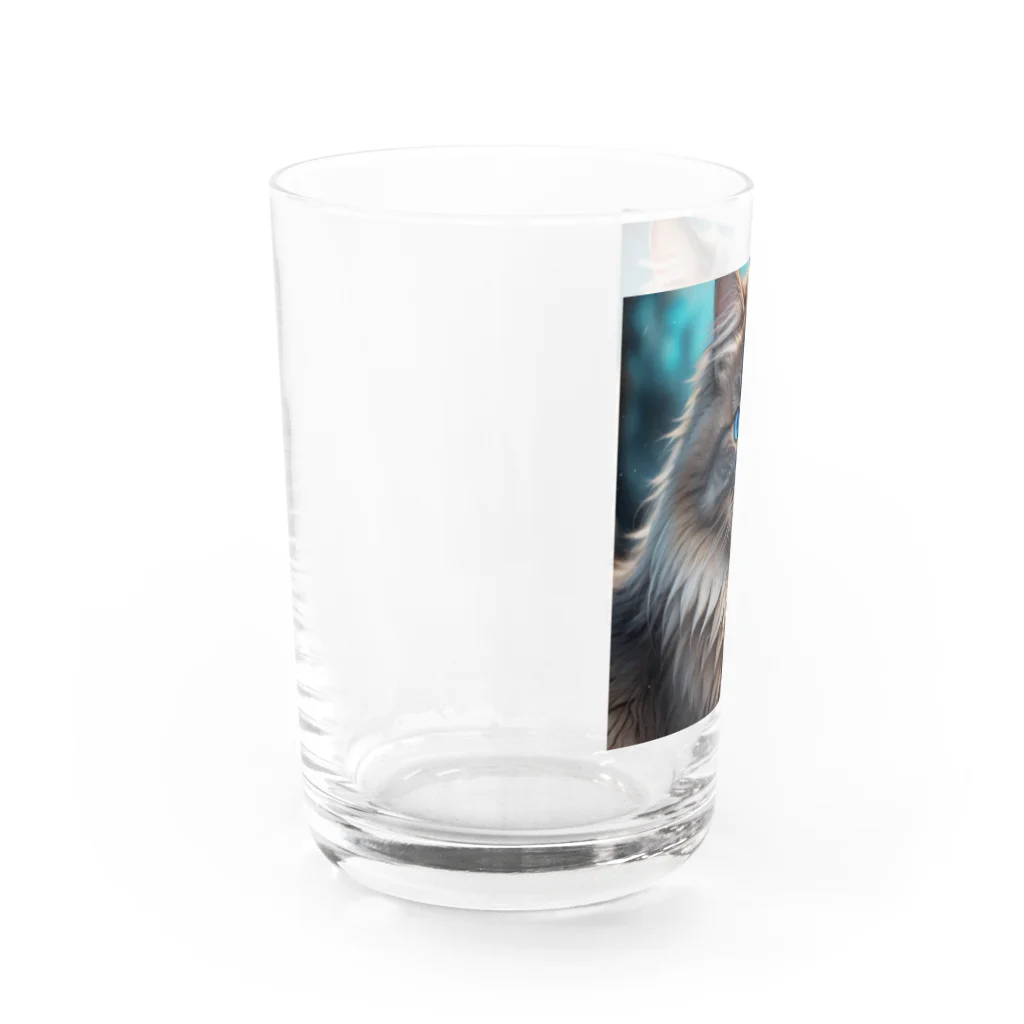 Koiwamiyaの青き目のメインクーン Water Glass :left