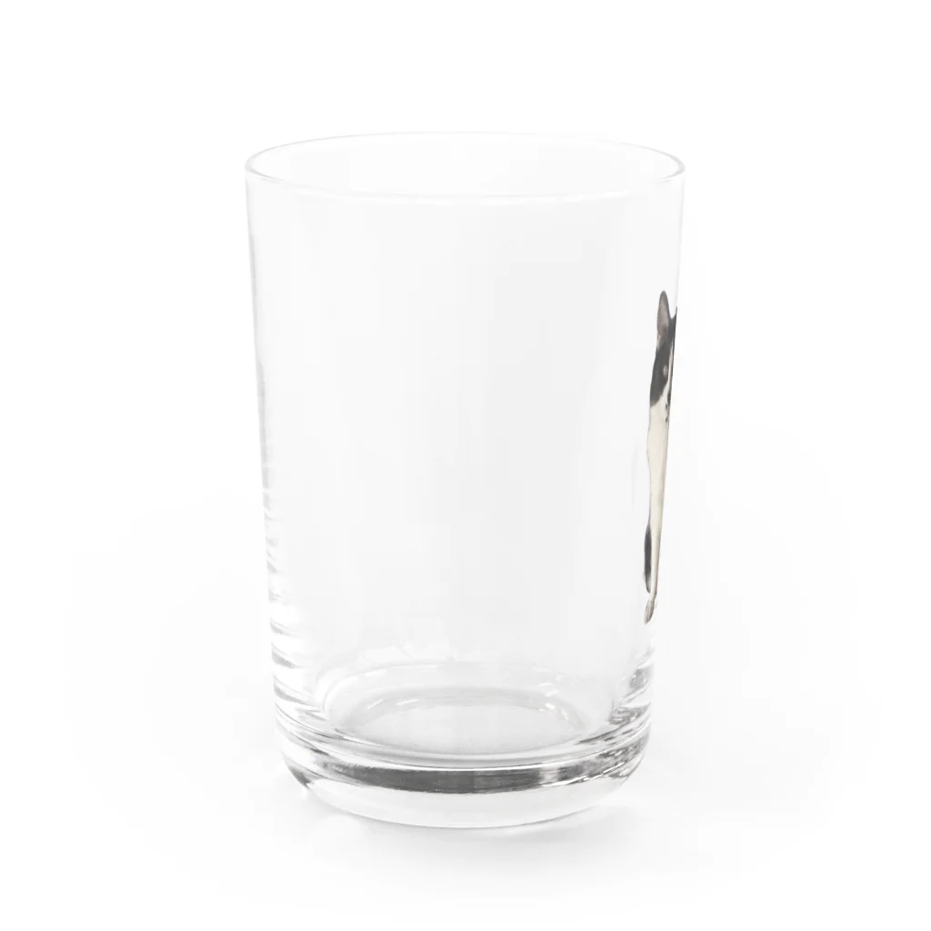 どなえみの姫の可愛いみみちゃん Water Glass :left