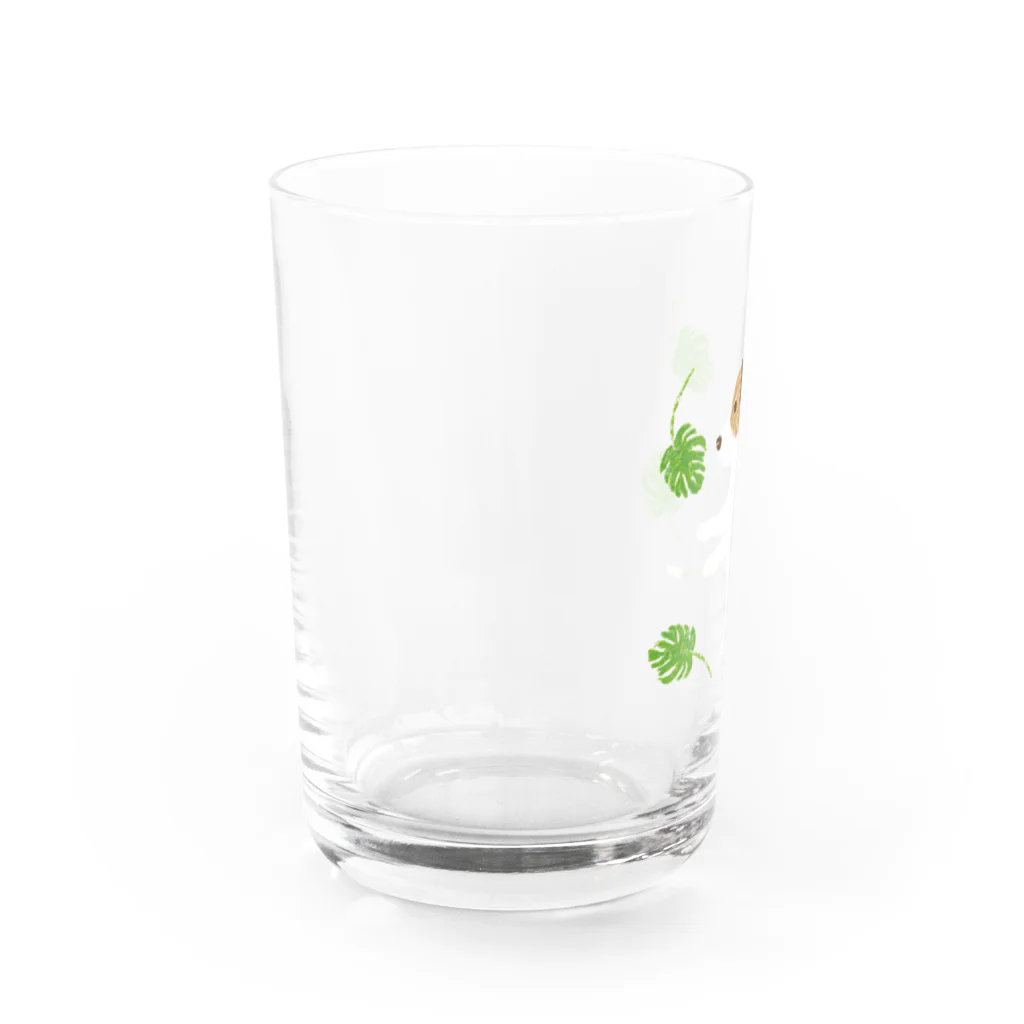 ジャックラッセルテリアのお店のモンステラを Water Glass :left