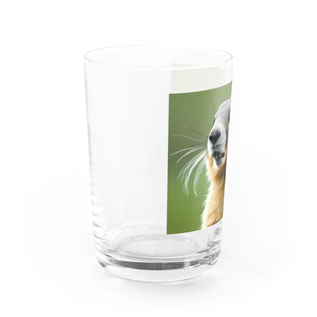 ジャパネットケフィアのぽってりマーモット(小物) Water Glass :left