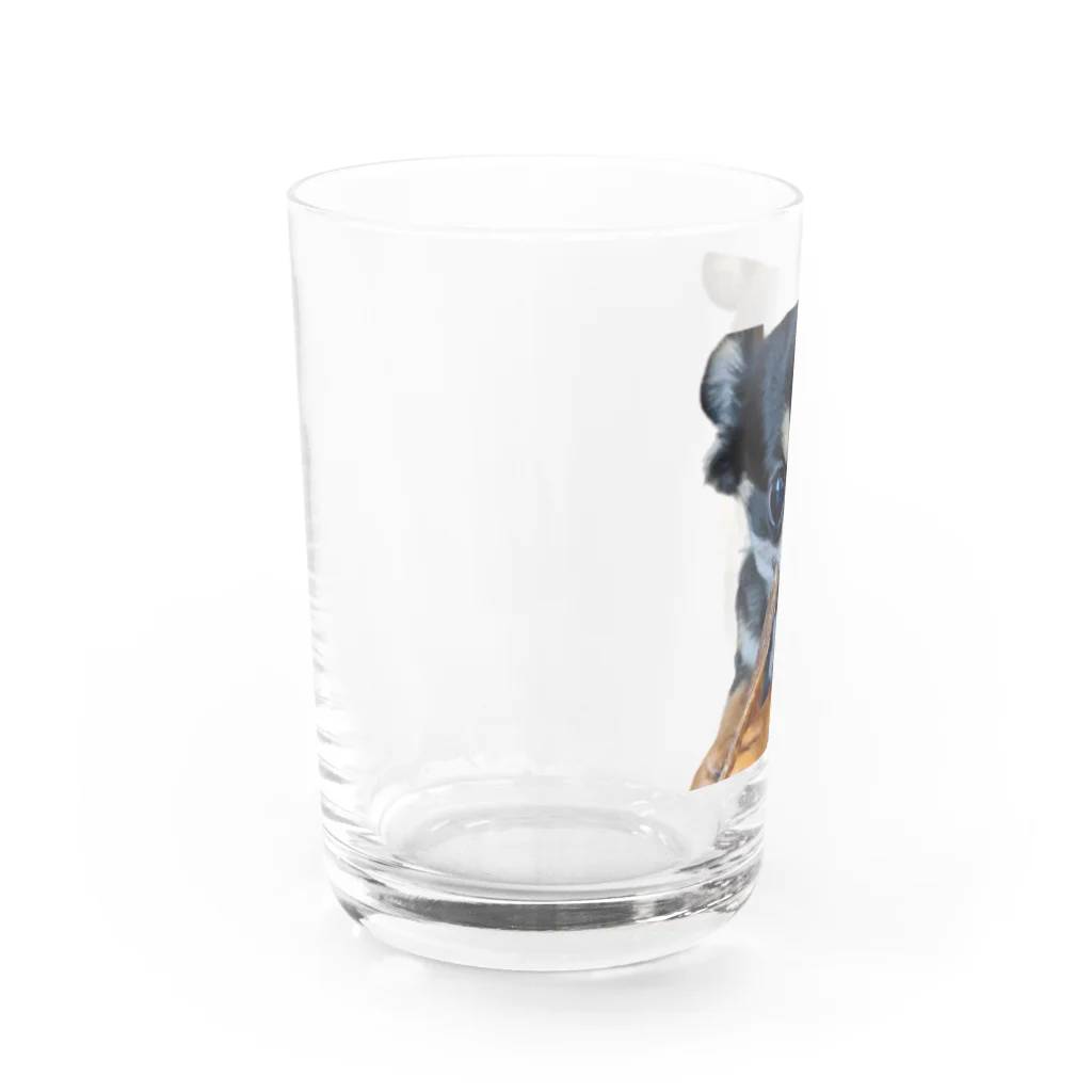 今野祐介のチワワのライムちゃん Water Glass :left