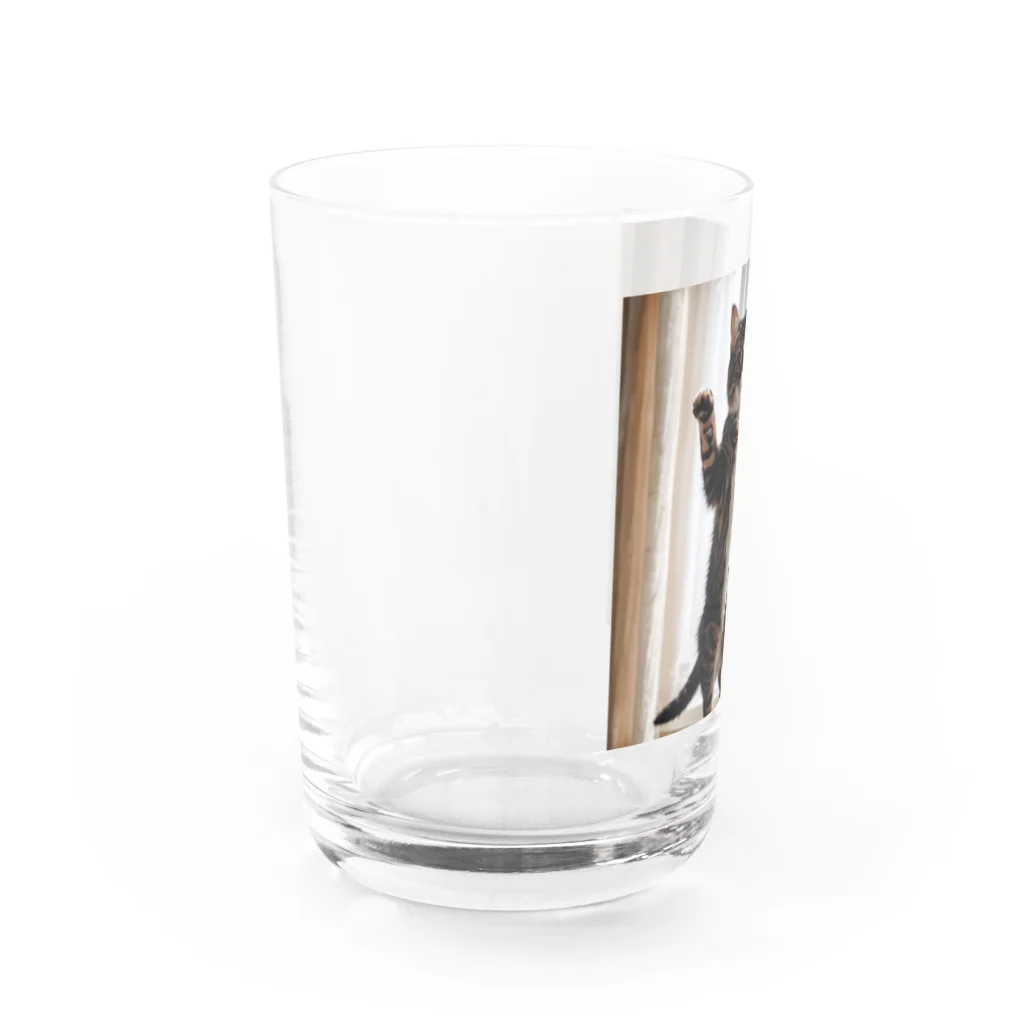 DQ9 TENSIのカーテンと遊ぶ愛らしい猫ちゃん Water Glass :left