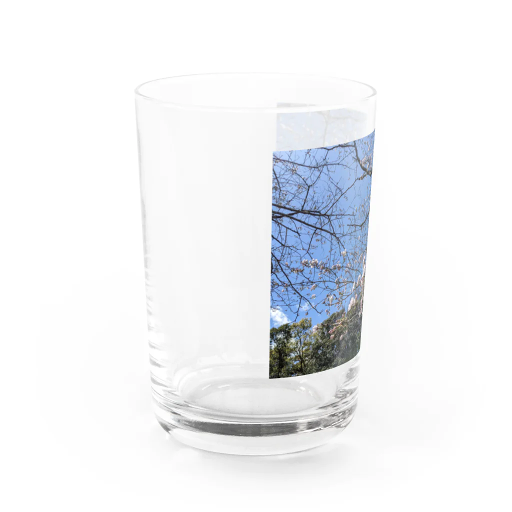 金色の闇「一松」@ﾏｼﾞﾜｯﾁｬなのんの桜が散る頃に Water Glass :left