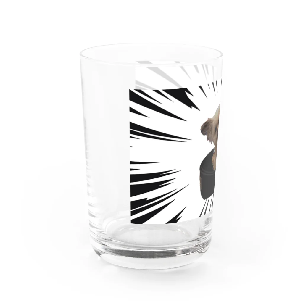 るるの店の迫力ある可愛犬 Water Glass :left