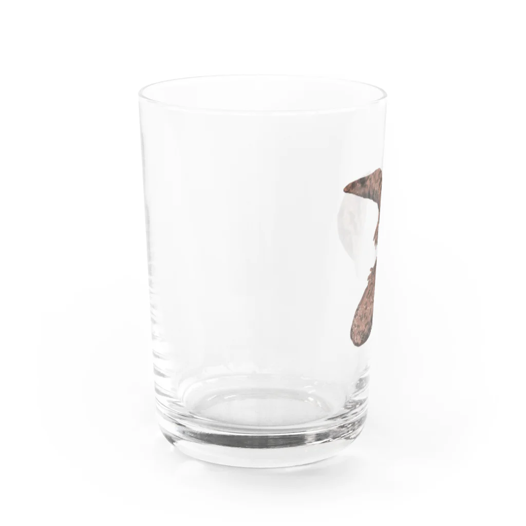 puikkoのオオサンショウウオ Water Glass :left