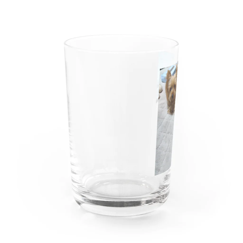 ベイビーちゃんのアレンくん Water Glass :left