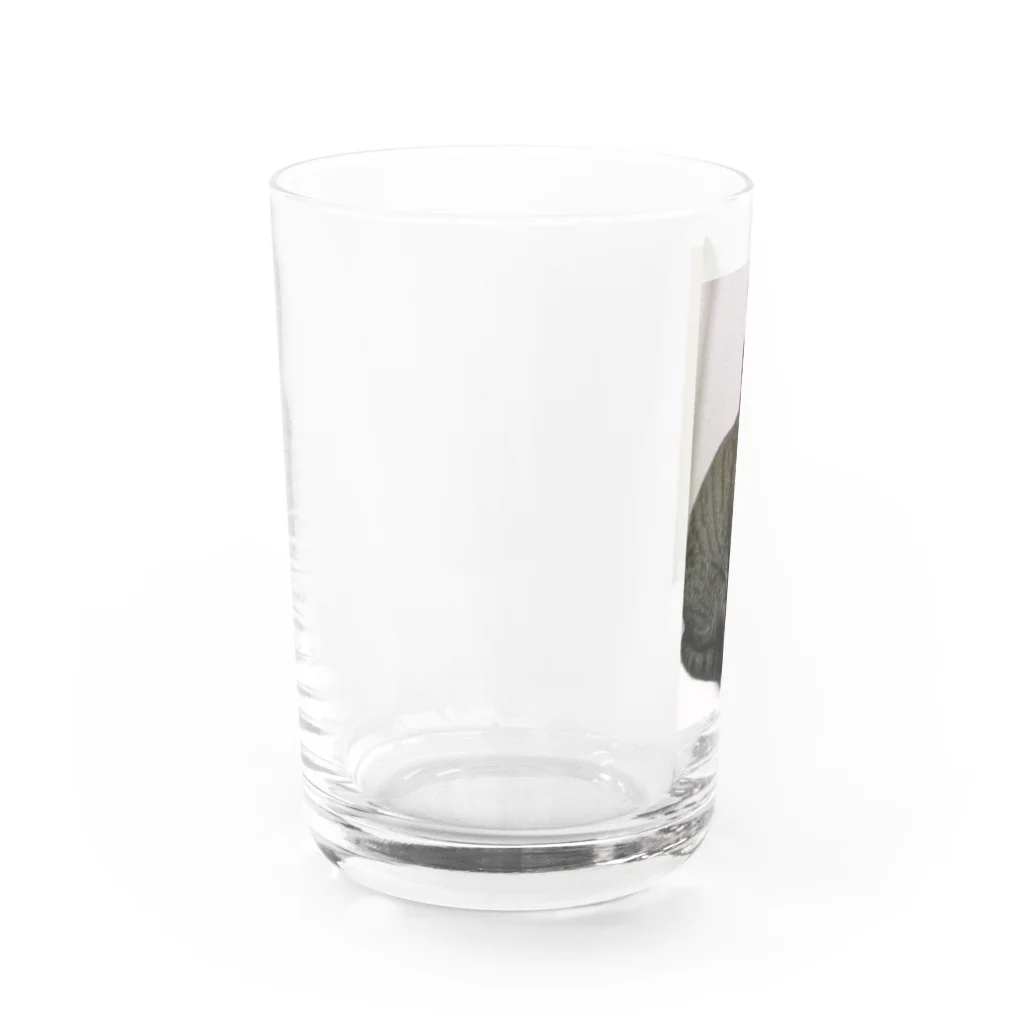 ポチオのトイレの上のポチオ Water Glass :left