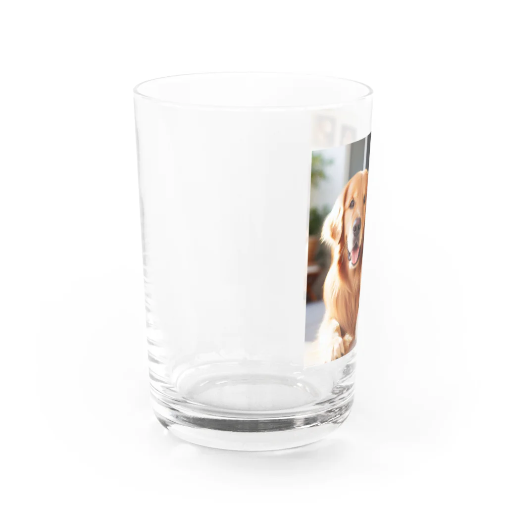 KAWAKamiのワンだふるゴールデン・セレクション Water Glass :left