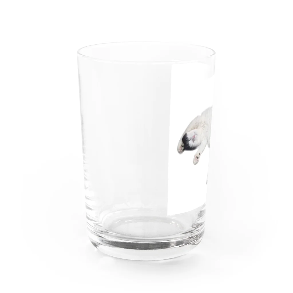 クリスタの尻尾が短い保護猫 たぬちゃん Water Glass :left