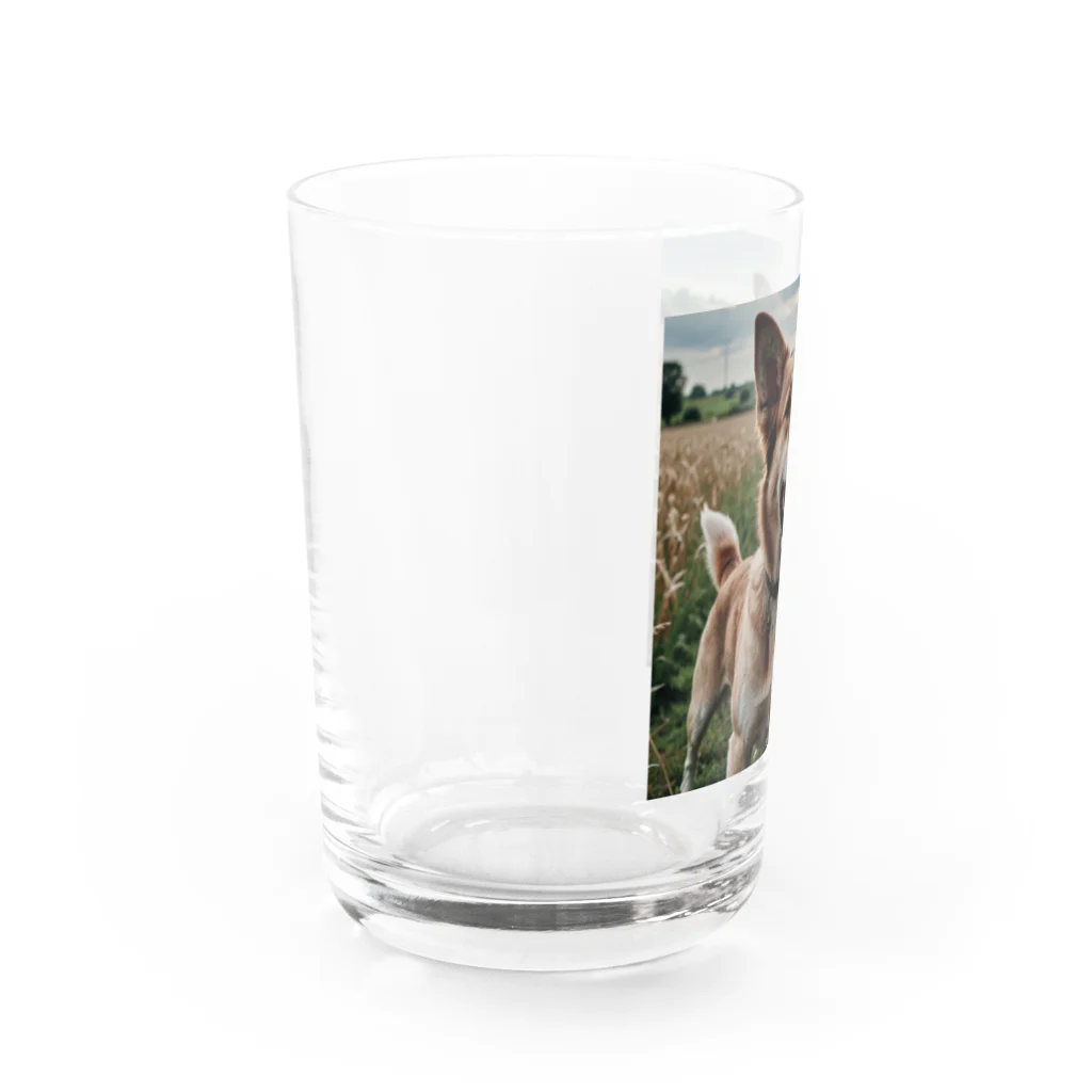 kokin0の畑で微笑む犬 dog smailing in the ground Water Glass :left