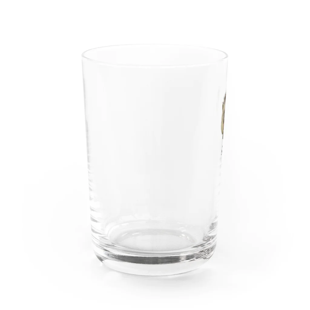 HarieのPeroPero Water Glass :left