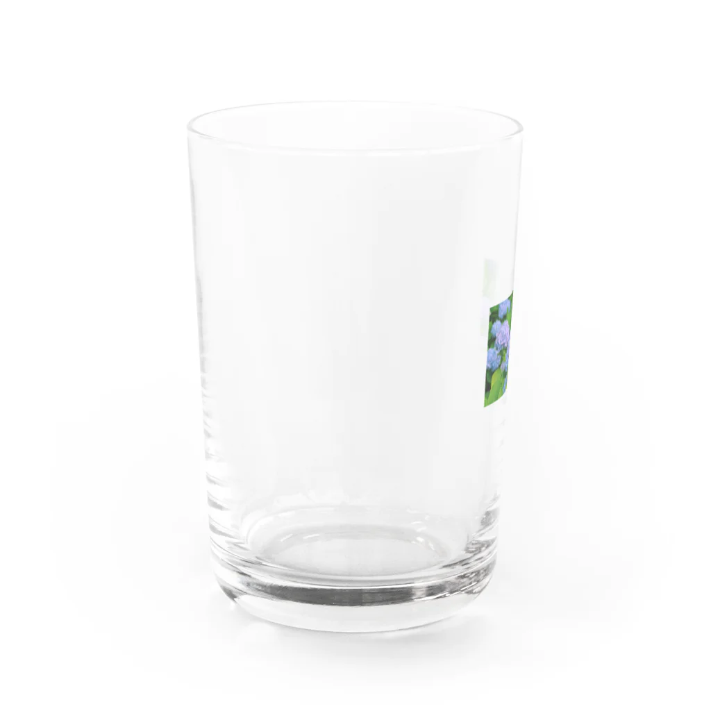 アッキーSTjのあじさい Water Glass :left