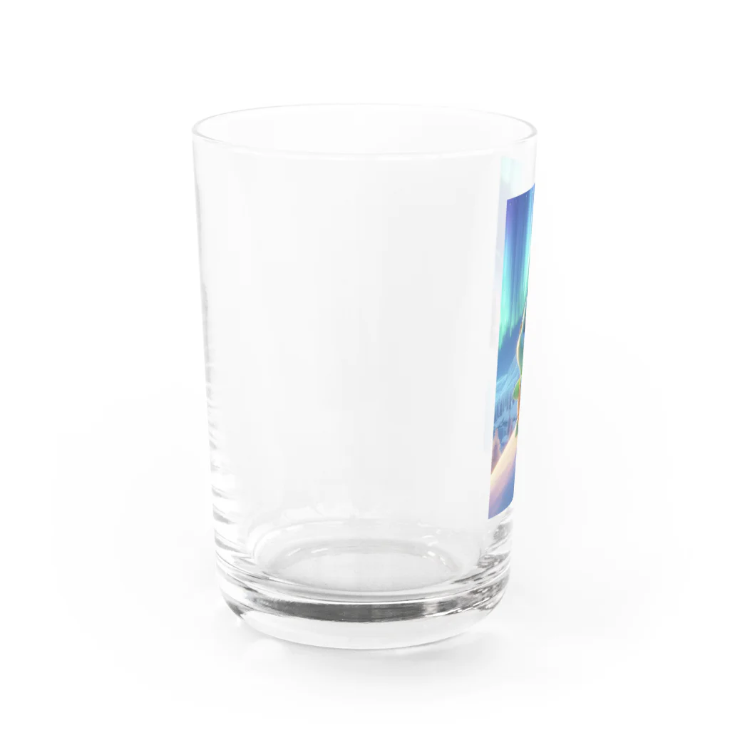 かめのオアシスのかめっちオーロラ見て感動 Water Glass :left