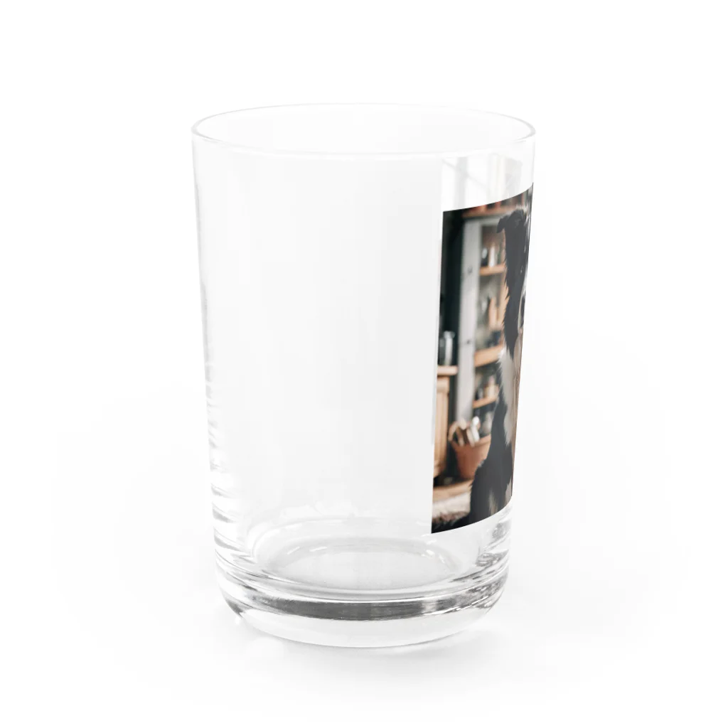 kaerinofficeのこのスマートなワンちゃんは、そっとカメラを見つめる。 Water Glass :left