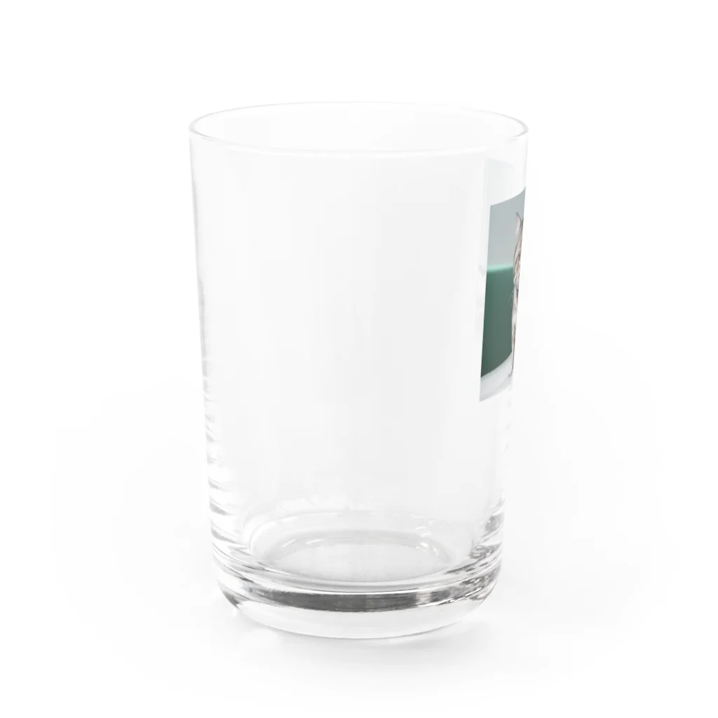 碧月の猫 Water Glass :left